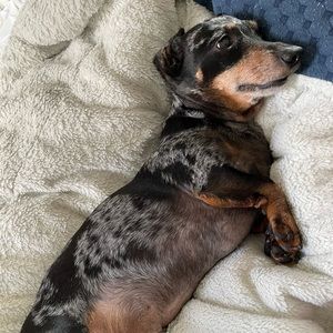 Meet your Posher, Corey